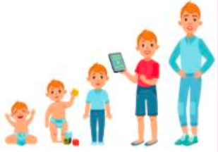 illustration d'enfants en train de grandir'.