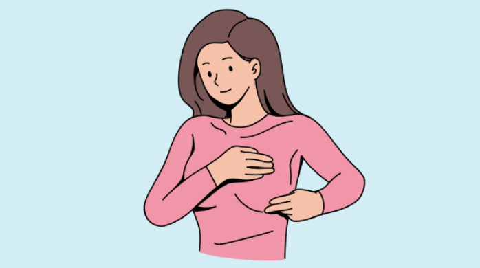 illustration de la position des seins